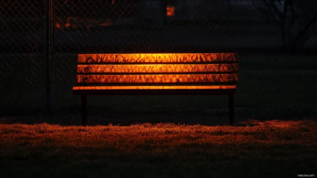 A bench bathed in orange glow near the outfield fence.