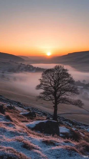 A calm valley covered in misty sunrise nature phone wallpaper.