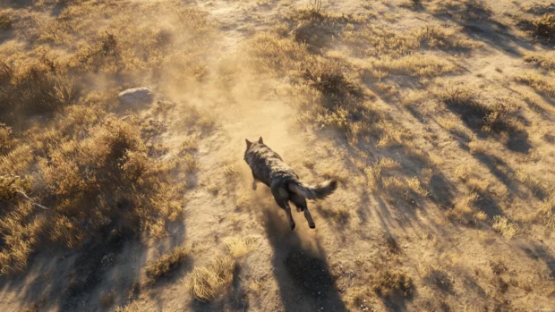 A cinematic top down view of a single wolf racing across open plains.