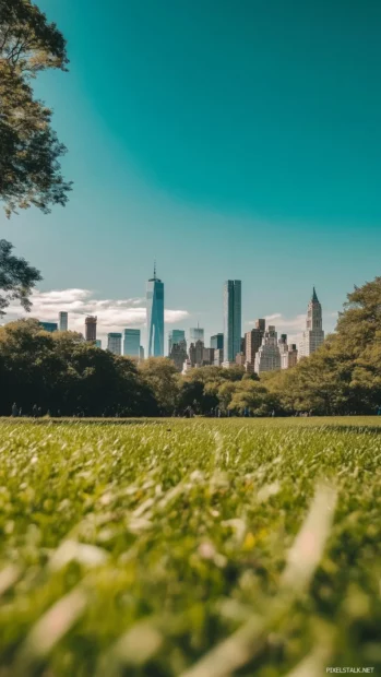 A clear Central Park scene, green lawns, faint city skyline behind.