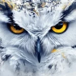 A close up of an owl with golden eyes surrounded by painterly snow swirls.