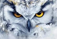 A close up of an owl with golden eyes surrounded by painterly snow swirls.