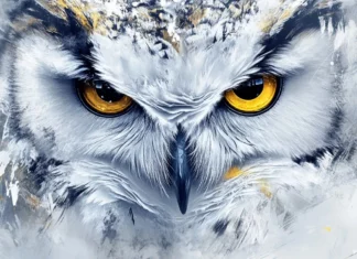 A close up of an owl with golden eyes surrounded by painterly snow swirls.