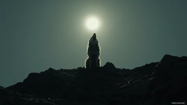 A dramatic backlight outlines the wolf as it roars under a full moon.