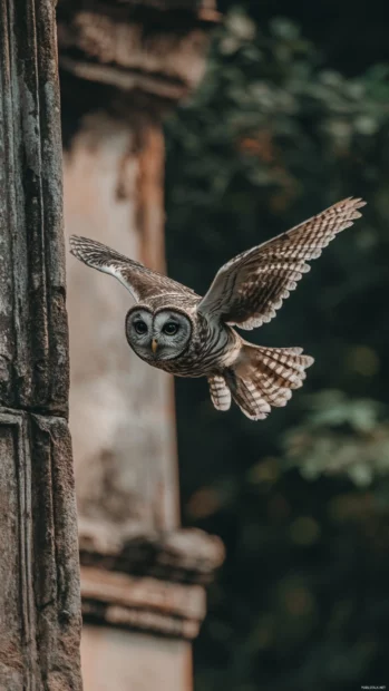 A dramatic vertical frame of an owl mid flight through ancient ruins at dusk.