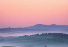 A dreamy field captured as sunrise wallpaper for.