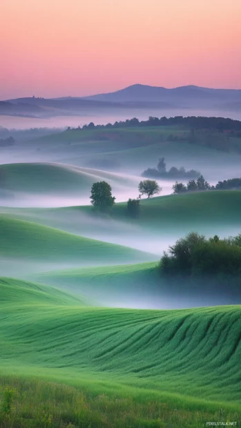 A dreamy field captured as sunrise wallpaper for.