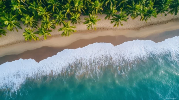 A drone shot of a palm tree lined beach, showing intricate sand patterns and turquoise water.