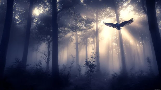 A forest scene with shafts of light cutting through fog as an owl soars between trees.