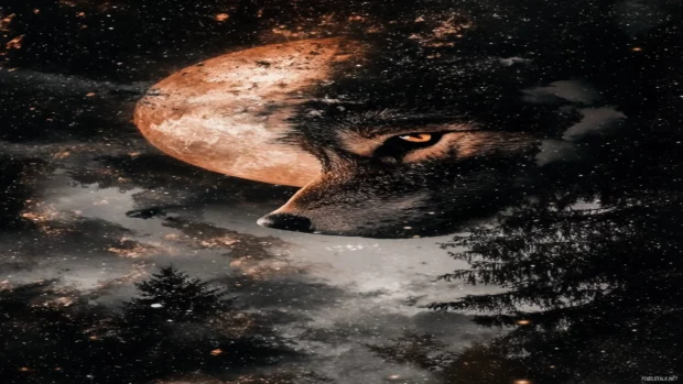 A glowing moon reflects in the eyes of a painted wolf in a vertical blend of shadows and stars.