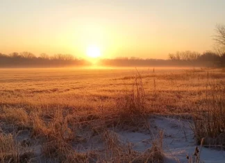 A golden sunrise reveals the stillness of the open field.