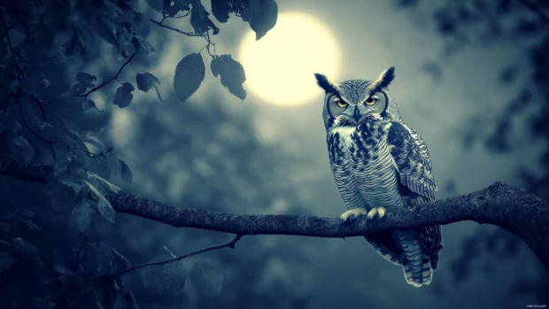 A great horned owl perched on a tree limb under silver moonlight, mist rising gently from the forest floor.