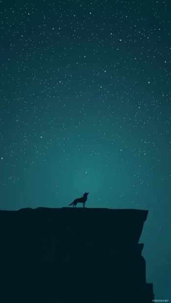 A lone cartoon wolf gazing at stars from a cliff edge, rendered in soft gradients and sparkles.