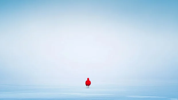 A minimalist composition with a lone flamingo centered in white mist, barely visible shoreline in the distance.