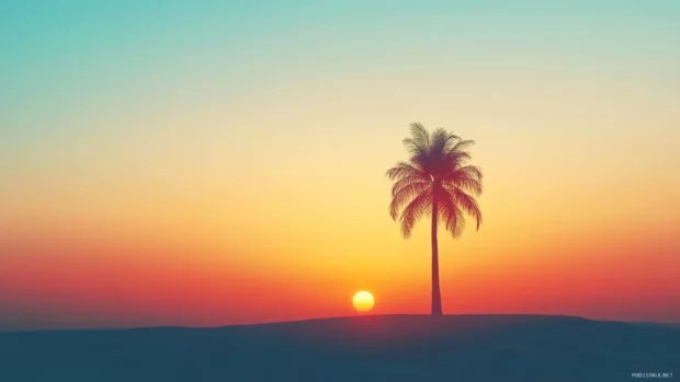 A minimalist design featuring a single palm tree silhouetted against a colorful sunset .