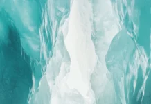 A mystic white wolf walking through a frozen vertical hallway of light.