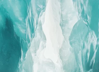 A mystic white wolf walking through a frozen vertical hallway of light.