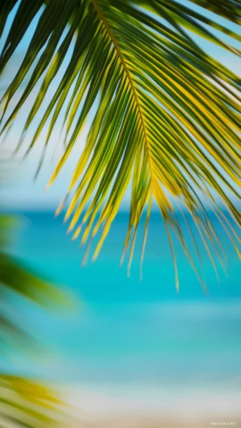 A palm tree frond with the blue ocean blurred in the background, creating a sense of depth.