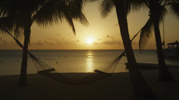 A peaceful sunset beach with a hammock strung between two palm trees .
