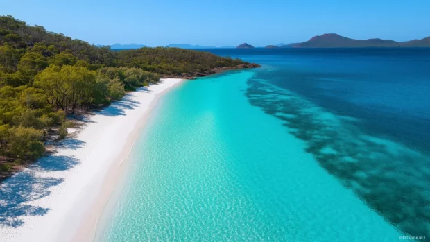 A pristine beach with white sand and turquoise sea, lined with palm trees.