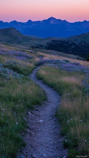 A quiet trail winds between dawn lit ridges.