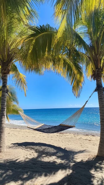 A relaxing beach scene with a hammock, palm trees, and a clear blue sky.