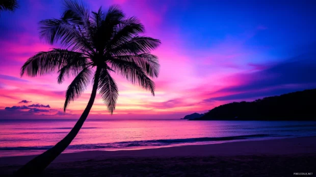 A silhouette of a palm tree against a sunset sky, with a sandy beach.