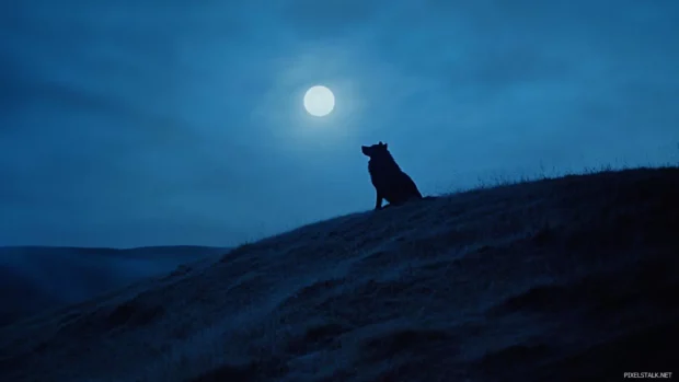 A soft silhouette of a howling wolf appears over the curve of a hill, moon rising behind.