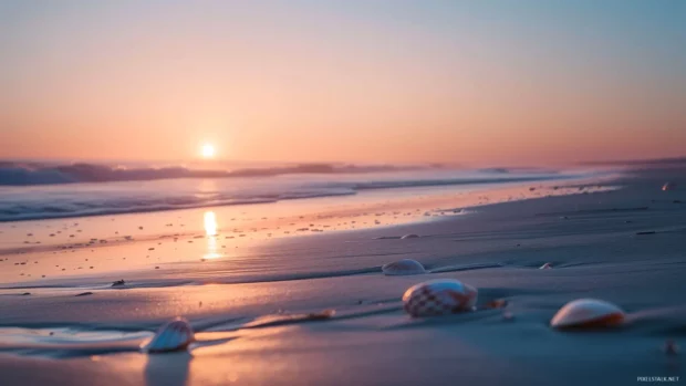 A soft sunrise lights up a quiet beach with shells on the shore.