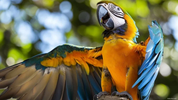A stylized photo of a macaw mid call, beak open wide and wings slightly extended.