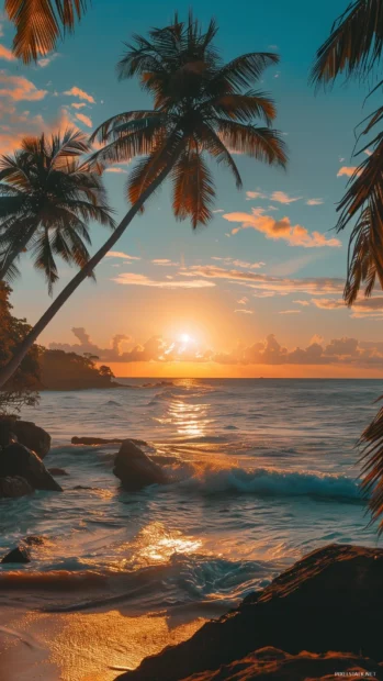 A sunset over a tropical beach with palm trees silhouetted against the blue sky.
