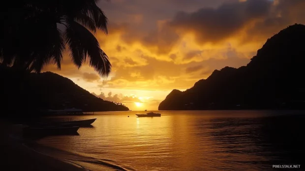 A sunset over a tropical beach with palm trees silhouetted against the sky.