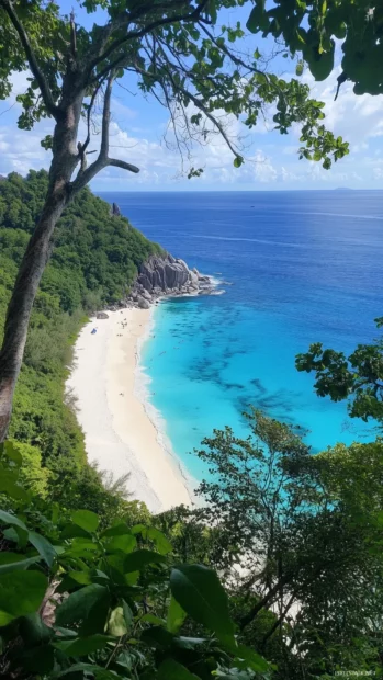 A tropical beach with crystal clear turquoise waters and pristine white sand.