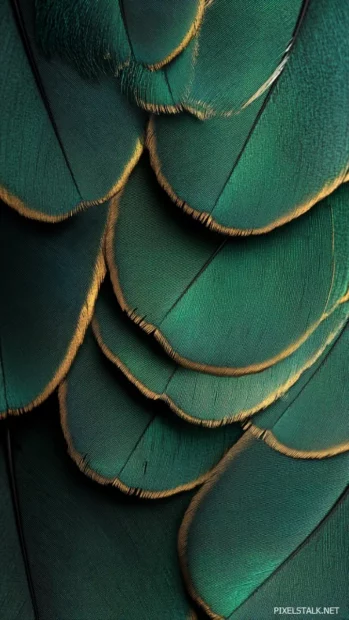 A vertical composition of tail feathers, swirling elegantly in shades of green and gold.