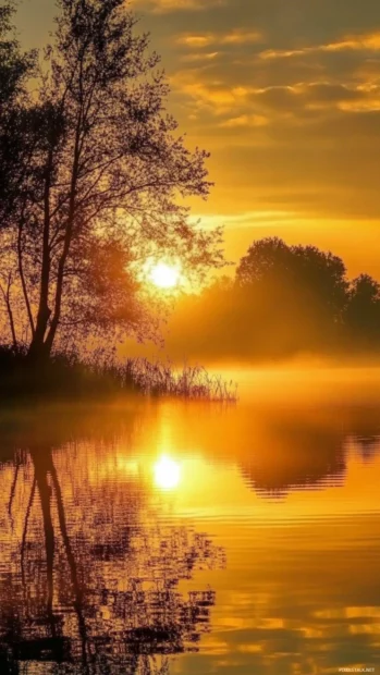 A warm glow lights up morning fog in these Sunrise Wallpapers for Android.