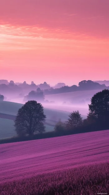 Aesthetic Sunrise Wallpaper blending pink skies with peaceful farmland.