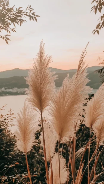 An aesthetic beach with tall, swaying grasses and a warm, golden sunset.
