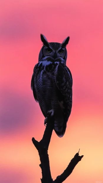 An owl perched on a narrow branch silhouetted against a pink sunrise sky.