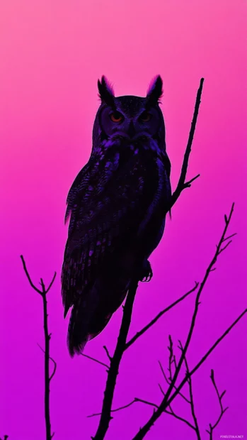 An owl perched on a narrow branch silhouetted against a pink sunrise sky.
