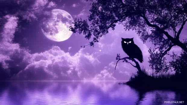 Artistic owl wallpaper showing a powerful silhouette of an owl above a moonlit lake.