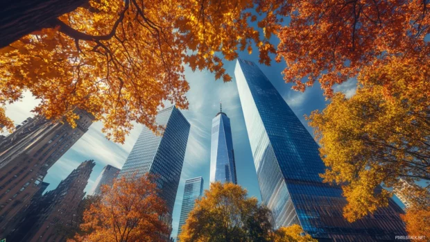 Autumn trees frame the steel structures of New York City.