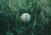 Baseball caught in tall grass of outfield.
