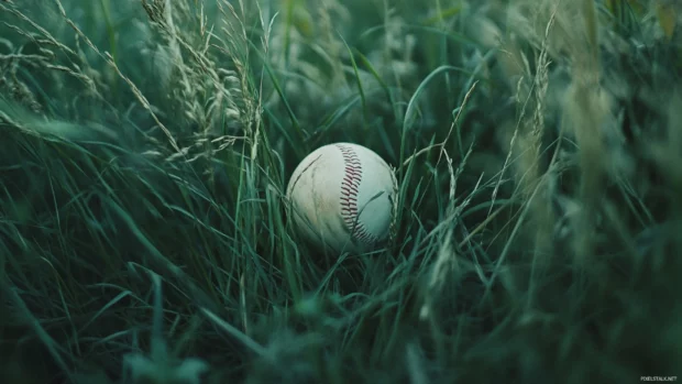 Baseball caught in tall grass of outfield.