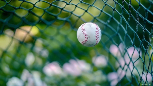 Baseball hitting the net with visible tension in motion.