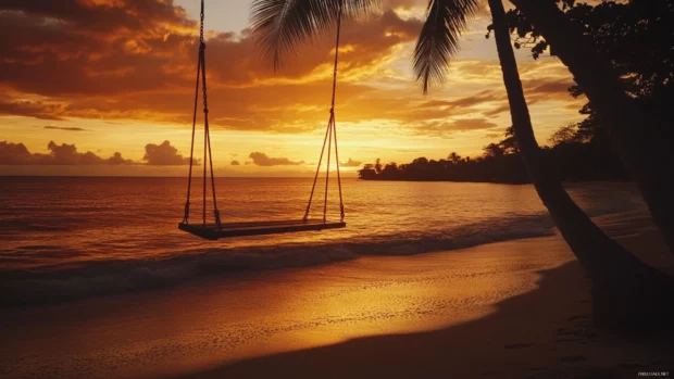 Beach swing at sunset with palm tree silhouette.