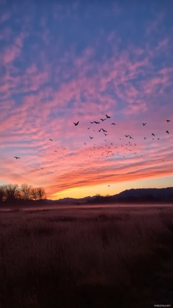 Birds soar under a colorful sunrise in tranquil stillness.