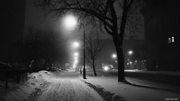 Black city cloaked in winter night silence.