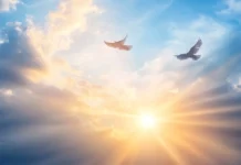 Bright morning clouds embrace the fluttering of birds awakening under the sunrise.