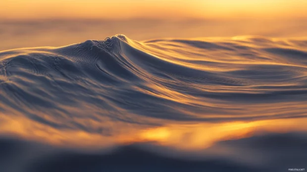 Calm ocean waves glowing under sunrise light.