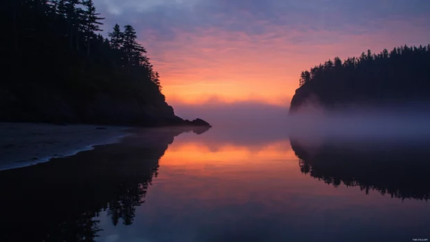 Calm sunrise reflects off fog shrouded waters.